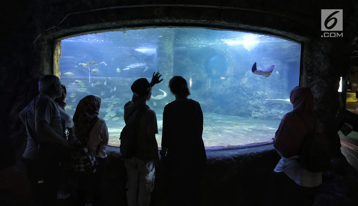 Pengunjung mengamati ikan-ikan di akuarium SeaWorld Ancol, Jakarta, Jumat (17/8). Seaworld menjadi tempat wisata alternatif warga saat libur panjang akhir pekan ini yang bertepatan dengan HUT ke-73 Republik Indonesia. (Liputan6.com/Faizal Fanani)