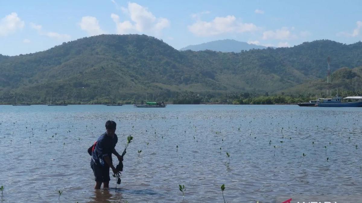 Langkah Pemprov NTB Bangun Ekosistem Perdagangan Karbon Berkelanjutan