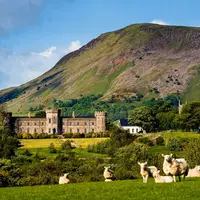 Wisata ke 5.000 tahun silan di Irlandia