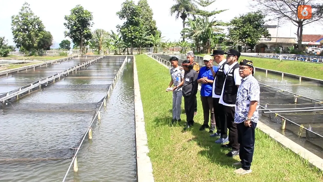IASPB, Wali Kota Sukabumi Ayep Zaki, dan Kepala UPTD Pelabuhan Perikanan DKP Provinsi Jawa Barat, Ahman Kurniawan saat meninjau kolam ikan di BBPBAT Sukabumi. (Liputan6.com/Fira Syahrin).