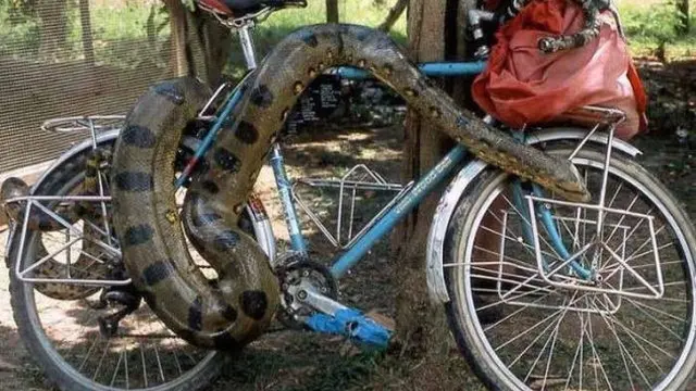Keren tapi Ngakak, Ini 8 Ide Kocak Orang Amankan Barang Dari Maling