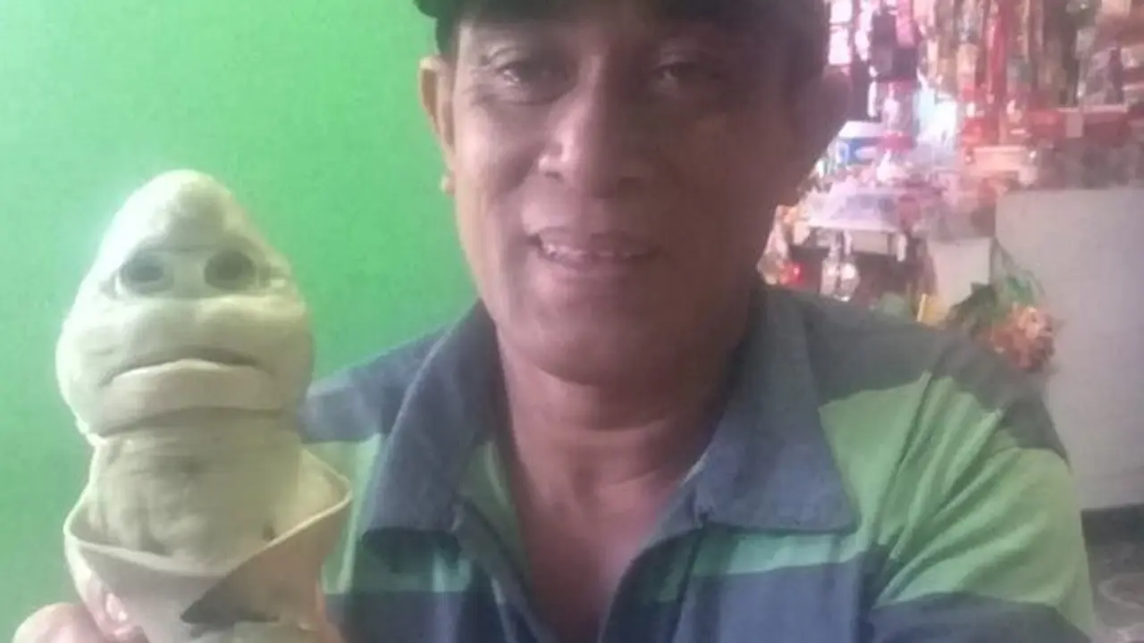 Viral Bayi Hiu Berwajah Manusia Ditemukan Nelayan di NTT, Ini 4 Faktanya