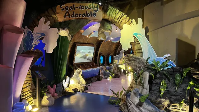 Seal atau anjing laut hadir sebagai keluarga baru di Jakarta Aquarium & Safari. (Dok: Jakarta Aquarium & Safari)