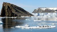 Sejumlah penguin berada di atas bongkahan es di Pulau Heroina, Danger Islands, Antartika (2/3). Para ilmuwan telah menemukan koloni besar penguin yang memiliki sekitar lebih dari 1,5 juta penguin. (Michael Polito / Louisiana State University / AFP)