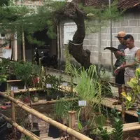 Karena bau dan banyak sampah dulu selokan di Yogyakarta ini selalu dicuekin sama warga, sekarang selokannya dipuji-puji. (Foto: Gufron/Brilio.net)