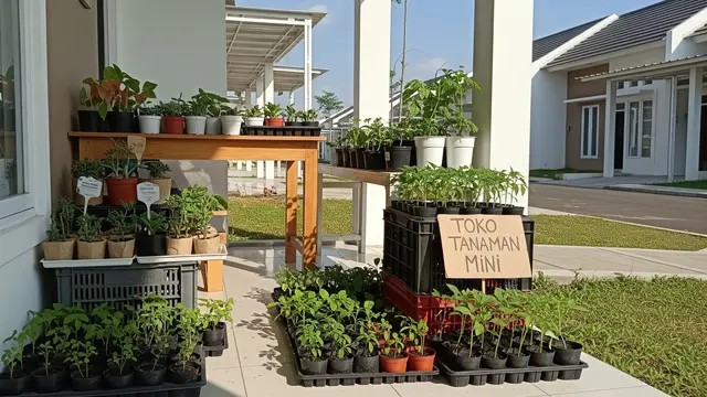 Ide Usaha Modal Kecil di Daerah Pemukiman Baru yang Potensial Penjualan Tanaman Hias Pot Kecil atau Bibit Sayuran