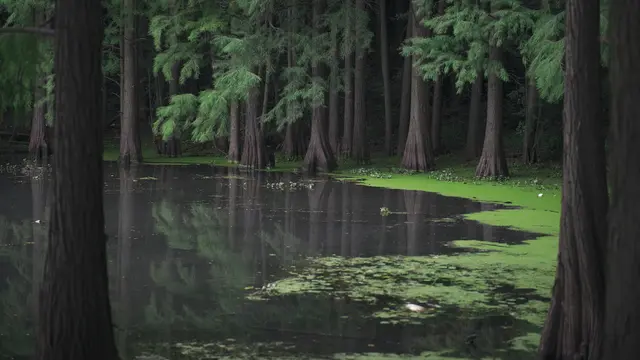Telaga  (sumber: Pixabay)