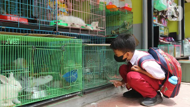 85 Kios di Pasar Hewan Barito Kembali Beroperasi
