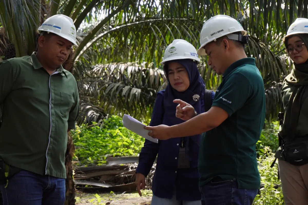 PT Astra Agro Lestari Tbk (Astra Agro/AALI)) merilis tiga varietas bibit unggul sawit terbaru. (Foto: Astra Agro Lestari)