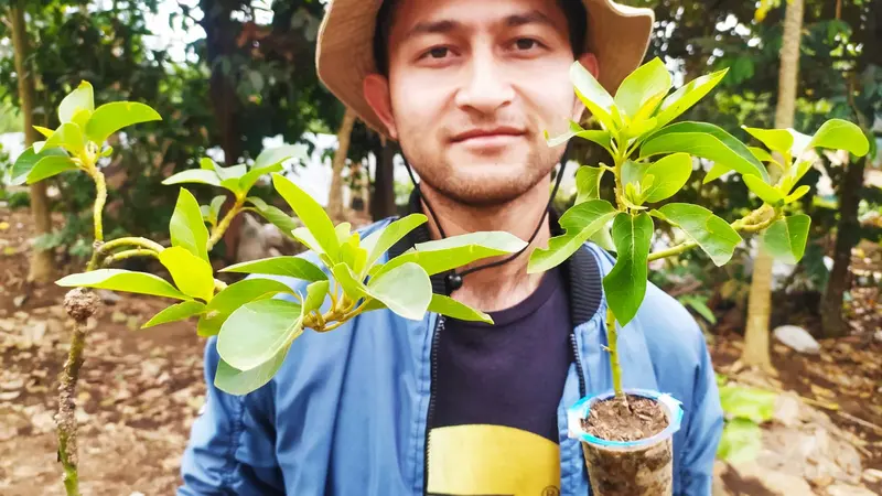 Reza Mulyana, 26 tahun, petani milenial sekaligus penangkar bibit tanaman asal Garut, Jawa Barat, sukses menghasilkan bibit tanaman dari metode persilangan micro cloning pertama di tanah air.