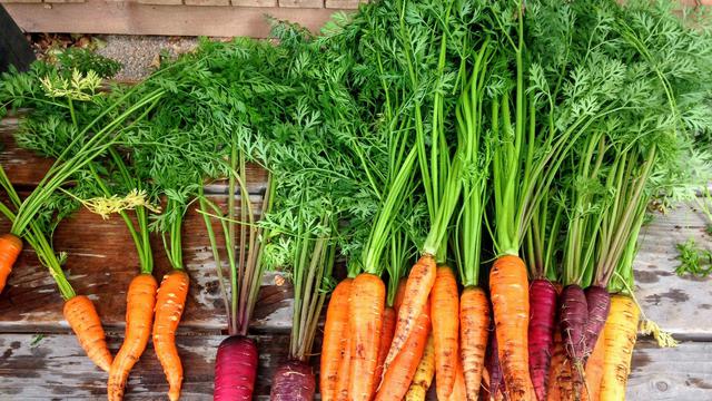 Detoks tubuh dan cegah peradangan