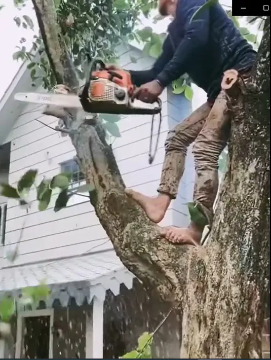 Rumah Arya Saloka (Instagram/the_house_of_olive)