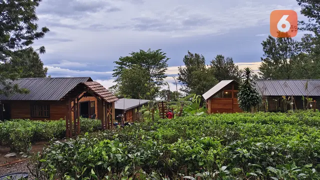 Kemah premium di Goalpara Estate Camp, Kecamatan Sukaraja Kabupaten Sukabumi (Liputan6.com/Fira Syahrin).