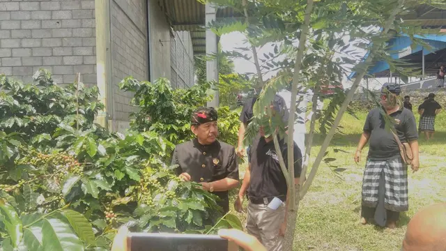 Kopi Kintamani