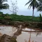 Ratusan hektar lahan pertanian milik warga Bangkonol, Desa Sukawening, Kecamatan Sukawening, Garut, Jawa Barat rusak tersapu banjir bandang yang terjadi sejak sore kemarin. (Liputan6.com/Jayadi Supriadin)