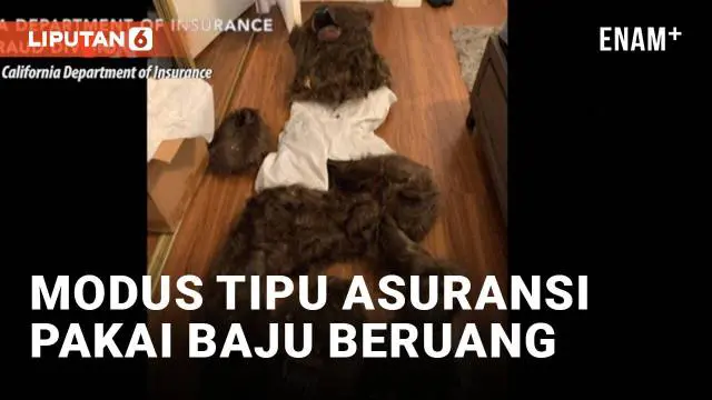 VIDEO: Polisi Tangkap Pelaku Penipuan “Beruang Rusak Mobil Mewah”