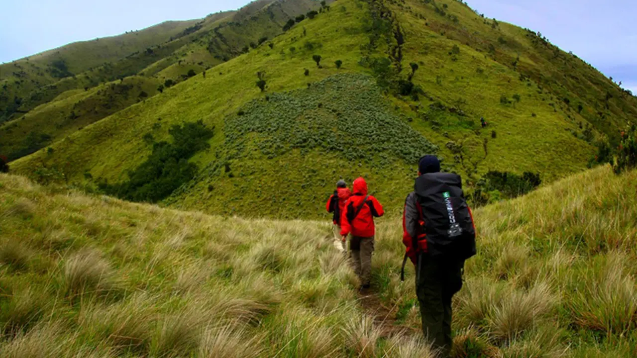 Gunung Merbabu