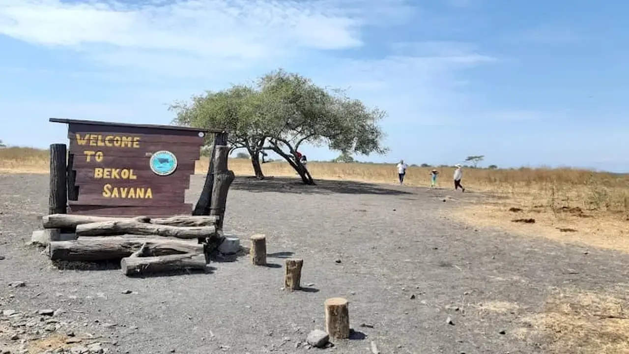 Kawasan Taman Nasional Baluran Situbondo (Istimewa)