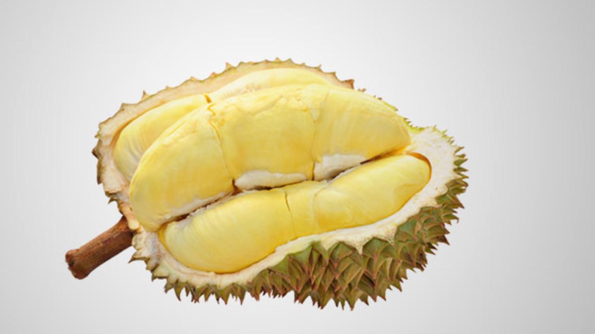 Durian: Sang Raja Buah yang Kaya Manfaat