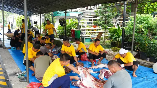 ASDP Sebar 100 Kambing Kurban ke Warga Sekitar Wilayah Operasional
