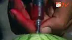 liputan6