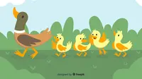 Funny duck jokes to tickle funny bones. (Photo: Freepik)