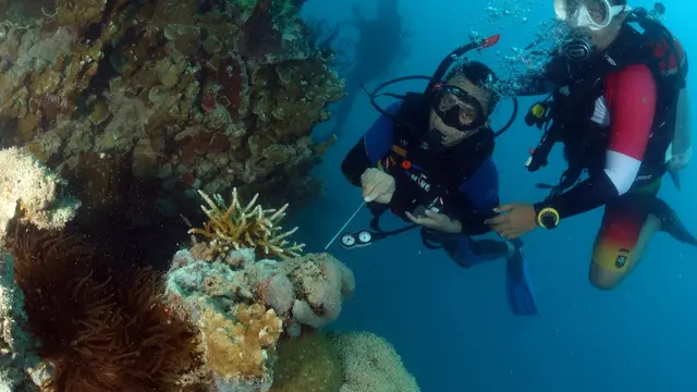 Kegiatan observasi Kemenko Marves