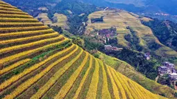 Foto dari udara yang diabadikan pada 12 Oktober 2020 ini menunjukkan pemandangan sawah terasering Longji di Wilayah Longsheng, Daerah Otonom Etnis Zhuang Guangxi, China selatan. (Xinhua/Wu Shengbin)