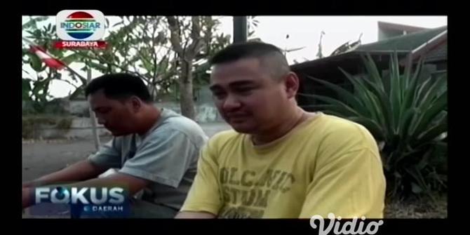VIDEO: Tips Pelihara Anjing Pitbull dari Komunitas di Sidoarjo