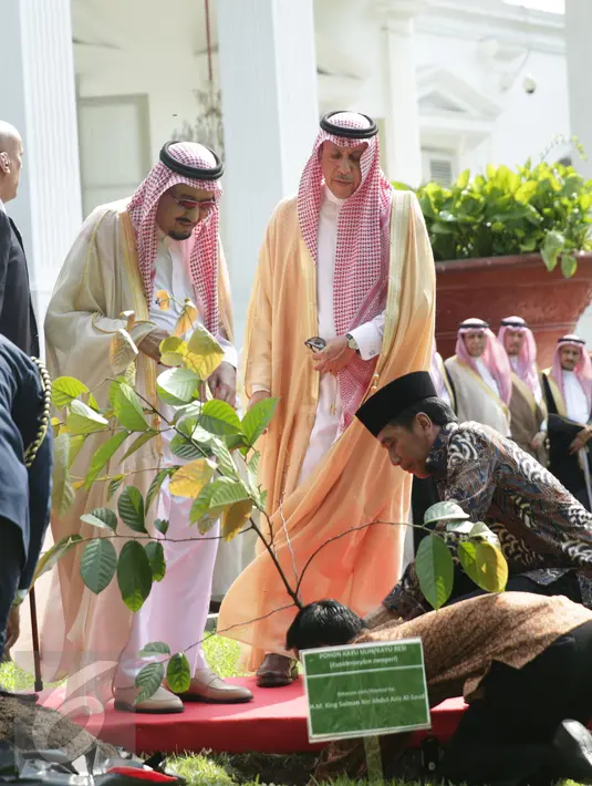 Suasana prosesi penanaman pohon yang dilakukan oleh Raja Salman di halaman tengah halaman tengah Istana Merdeka, Jakarta, Kamis (2/3). (Liputan6.com/Angga Yuniar)