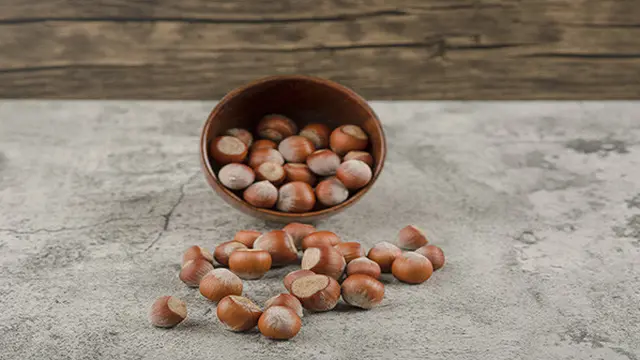 Ilustrasi Macadamia by @azerbaijan_stockers
