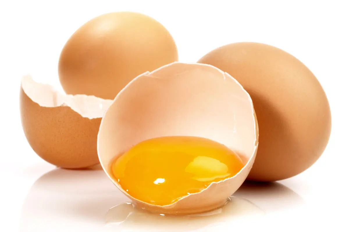 Kuning Telur