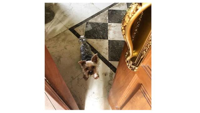 6 Penampakan Rumah Hotman Paris, Tampak Mewah dengan Dilapisi Emas