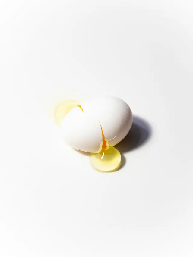 Egg