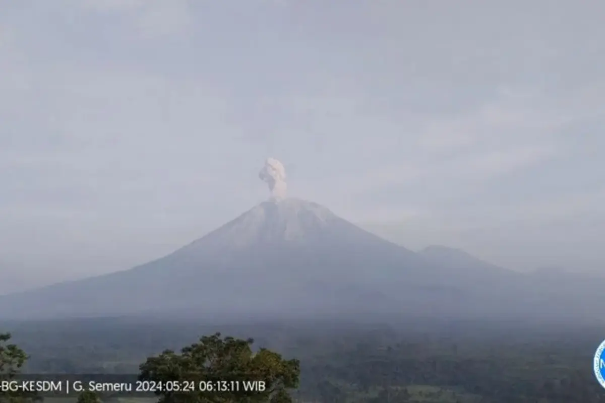 Gunung Semeru alami erupsi 6 kali beruntun dengan ketinggian lontaran abu vulkanik mencapai 900 meter (Istimewa)