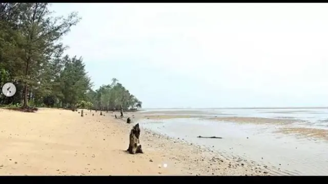 Pantai Tanah Merah di IKN Nusantara