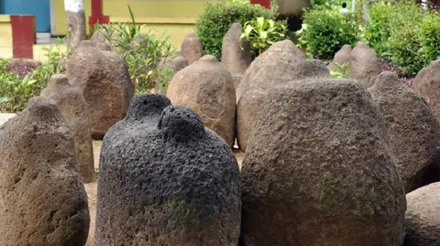 Survei Pohon Durian Berujung Hilangnya Batu Bersejarah Era Medang di Jember