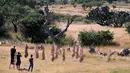 Sejumlah orang mengikuti instalasi seni 'Inversion', di wilayah San Miguel de Allende, Meksiko, Sabtu (28/10). Mereka berpose terbalik tanpa mengenakan busana. (REUTERS/Edgard Garrido)