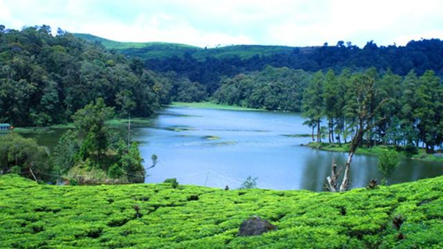 Kisah Romantis Batu Cinta di Situ Patenggang, Ciwidey ...