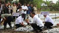 Wamentan Minta Petani di Deli Serdang Optimalkan Lahan Tidur Guna Jadi Produktif