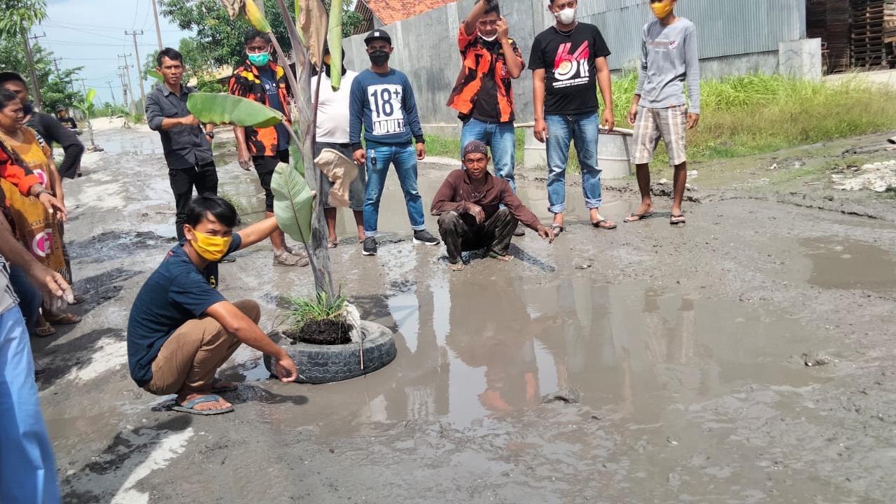 Ilustrasi warga menanam pohon pisang protes jalan rusak. (Foto: Istimewa)