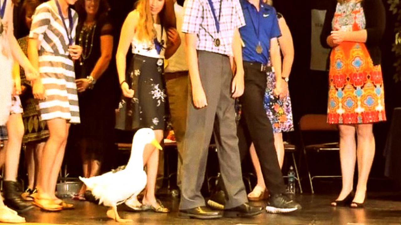 Ajaib, Bebek Hasil Eksperimen Bisa Survive dan 'Diwisuda'