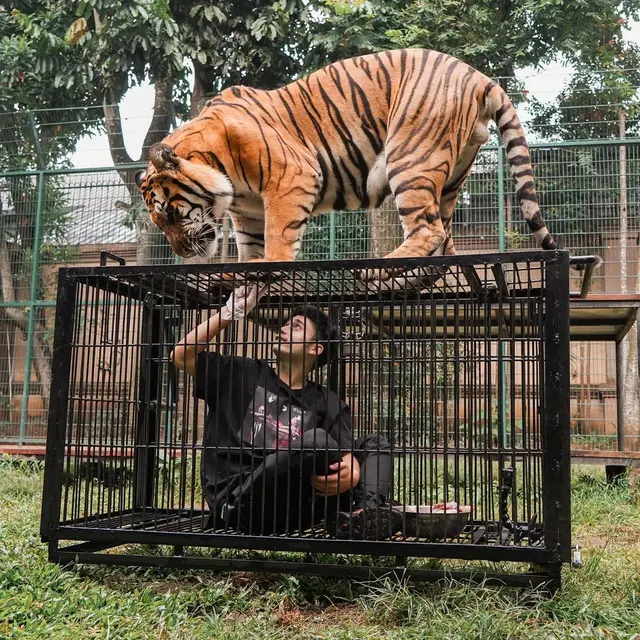 Dekat dengan Ria Ricis, Ini Potret Alshad Ahmad Bareng 6 Hewan Peliharaannya
