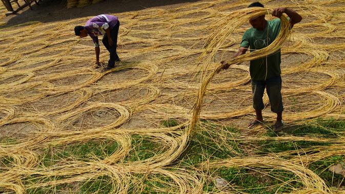 Seorang pekerja mengeringkan rotan untuk diekspor di sebuah bengkel di Banda Aceh (16/10/2019). Aceh merupakan salah satu sentra produksi rotan terbesar di Sumatera. (AFP Photo/Chaideer Mahyuddin)