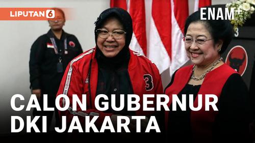 VIDEO: Risma: Saya Tidak Tertarik Jadi Cagub DKI Jakarta
