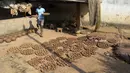 Seorang perajin tembikar membawa diyas atau pot minyak untuk dikeringkan di pinggiran Hyderabad, India, 26 Oktober 2021. Diwali adalah salah satu festival besar yang dirayakan oleh umat Hindu, Jain, Sikh dan beberapa umat Buddha, terutama umat Buddha Newar. (NOAH SEELAM/AFP)