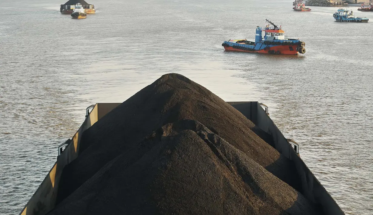 Sebuah tongkang memuat penuh batu bara di Sungai Mahakam di Samarinda, Kalimantan Timur, Indonesia, pada 19 Agustus 2026. (AP Photo/Ahmad Mulia Panjaitan)