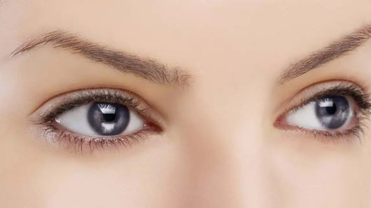 Foto: copyright shutterstock.com