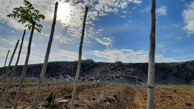 Pematang tanah liat lokasi penanaman bibit pohon di kawasan tambang siltstone SBA (Liputan6.com/Rino Abonita)
