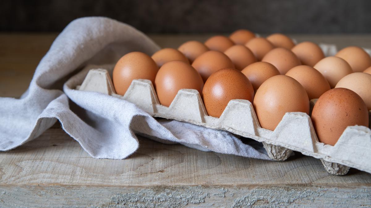 Cara Menyimpan Telur Agar Tidak Cepat Busuk: Tips Bertahan hingga 6 Minggu